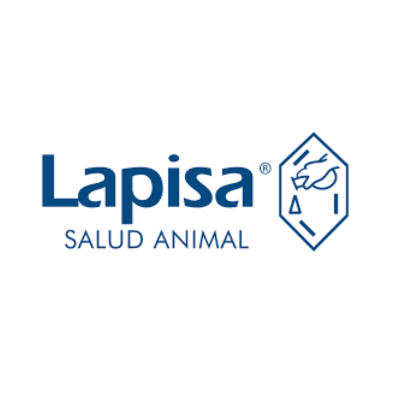 LAPISA