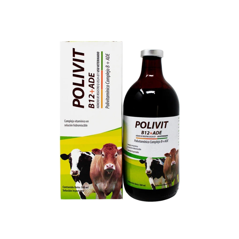 POLIVIT B12+ADE 500 ML.