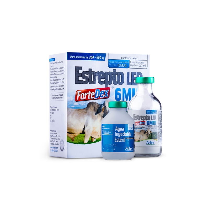 ESTREPTO LER FORTEdex 6M